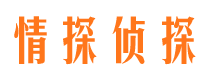 商水外遇出轨调查取证